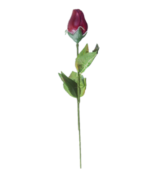 Rose en chocolat