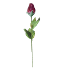 Rose en chocolat
