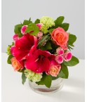 Bouquet amaryllis, roses et oeilets