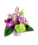 Composition fleurs et plantes exotiques