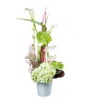 Composition hortensia, calla et orchidée