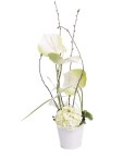Compositions fleurs blanches
