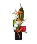 Composition orchidée, anthurium et oiseaux du paradis