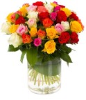 Deuil Roses du dernier adieu