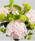 Bouquet viburnums et hortensias