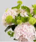 Bouquet viburnums et hortensias