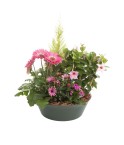 Deuil Coupes de plantes - Teintes et budget au choix