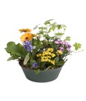 Deuil Coupes de plantes - Teintes et budget au choix