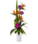 Bouquets de fleurs exotiques et délicates