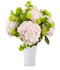 Bouquet viburnums et hortensias