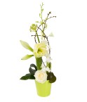 Composition teintes blanche et verte