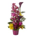 Composition piquée d' Orchidée Conscrits 2017