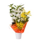 Orchidée dendrobium 2 tiges - Conscrits 2017