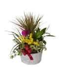 Coupe de plantes variées - Conscrits 2017