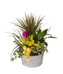 Coupe de plantes variées - Conscrits 2017