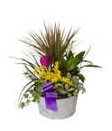 Coupe de plantes variées - Conscrits 2017
