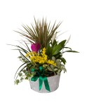 Coupe de plantes variées - Conscrits 2017