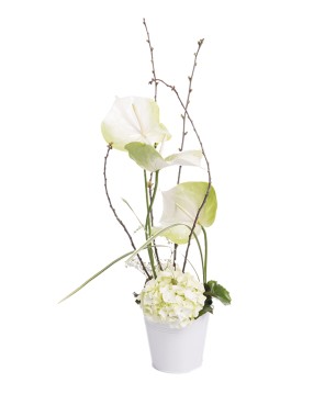 Composition de fleurs blanches