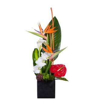 Composition de fleurs exotiques  - Conscrits 2017