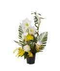 Composition piquée de fleurs variées - Conscrits 2017