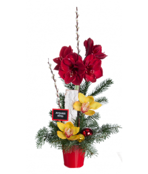 Composition d'amaryllis et d'orchidées - Meilleurs Voeux 2017