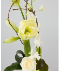 Composition teintes blanche et verte