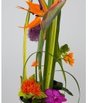 Composition fleurs colorées