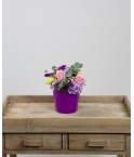 Composition roses oeillets et hortensia