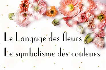 langage-des-fleurs.jpg
