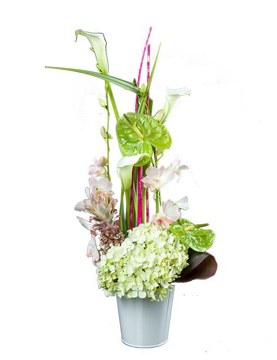 Composition florale