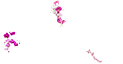 Les Ateliers Fleurs